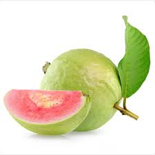 Madhuri Guava Tree Plant