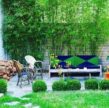 Green Bamboo
