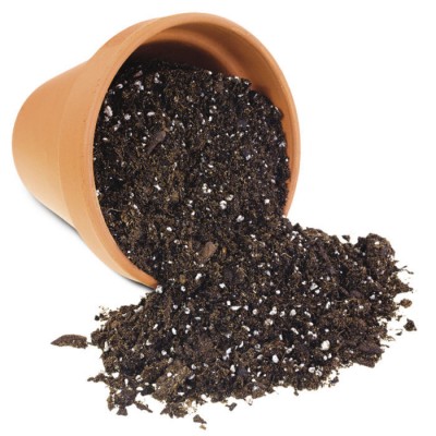 Soil - Mix of Vermicompost, coco soil, neem cake & cow dung (5Kg)