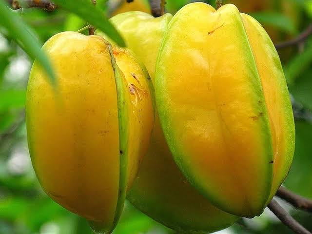 Kamrak - Star Fruit